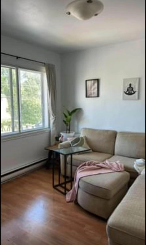 location appartement lokatix nom des données