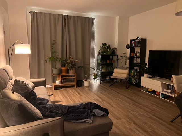 lokatix rental apartment