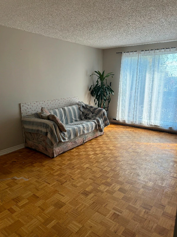 lokatix rental apartment