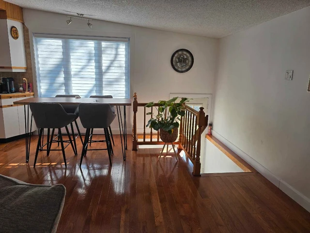 lokatix rental apartment