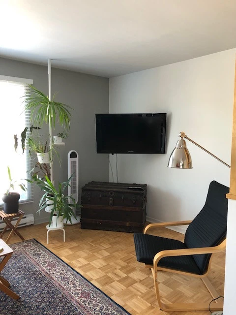 location appartement lokatix