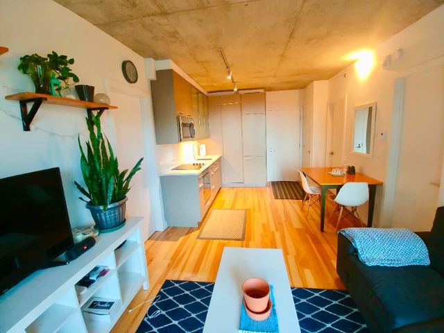 lokatix rental apartment