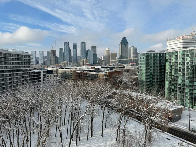 Superbe Vue Sur Montréal - Superbe Vue Sur Montréal - location appartement lokatix