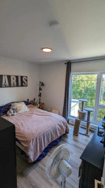 location appartement lokatix