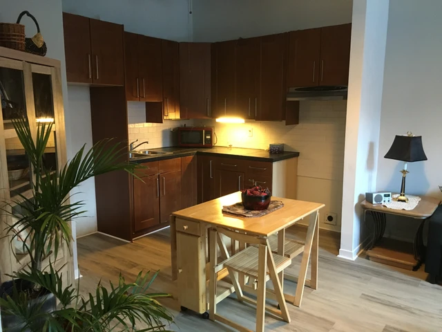 location appartement lokatix