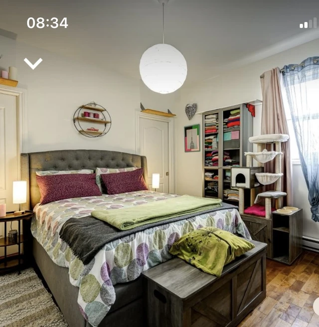 location appartement lokatix