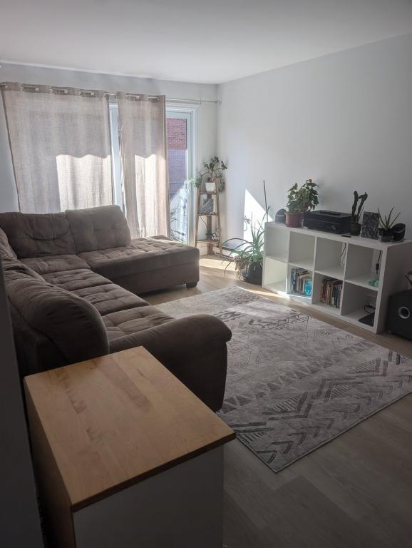 location appartement lokatix