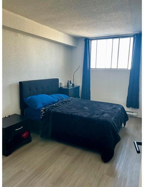 location appartement lokatix