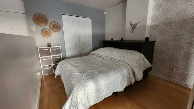 location appartement lokatix