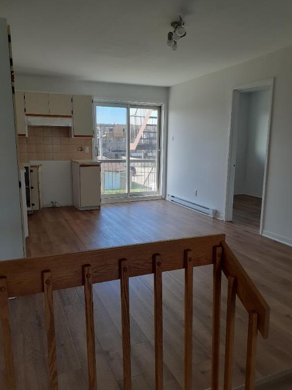 location appartement lokatix nom des données