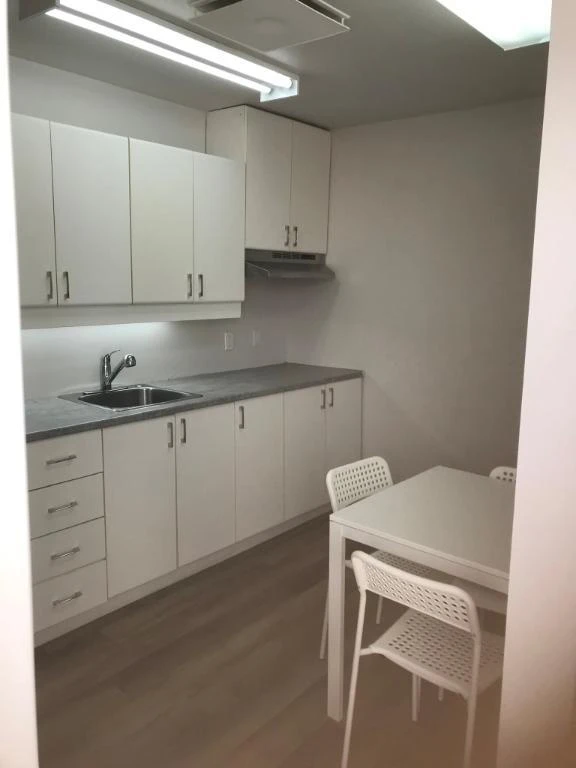 2.5 meublé/ Ste Hyacinthe/ AVRIL 2025-725 $ tout inclus - 2.5 meublé/ Ste Hyacinthe/ AVRIL 2025-725 $ tout inclus - location appartement lokatix