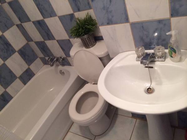 location appartement lokatix