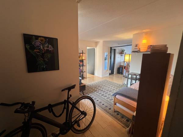 location appartement lokatix