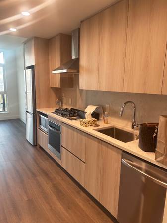 Brand New 1 bed 1 bath for rent - Brand New 1 bed 1 bath for rent - lokatix rental apartment