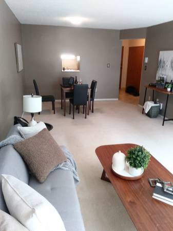 One bedroom apartment - One bedroom apartment - lokatix rental apartment