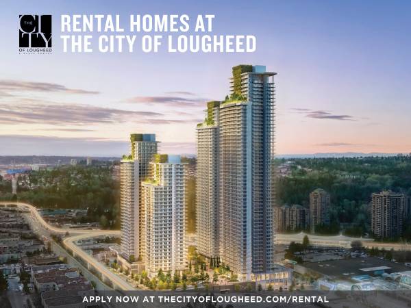 One Bedroom  -  Rental Homes at The City of Lougheed - One Bedroom  -  Rental Homes at The City of Lougheed - lokatix rental apartment