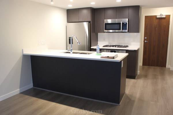 New Condo! 1 Bedroom + Den for Rent - New Condo! 1 Bedroom + Den for Rent - lokatix rental apartment