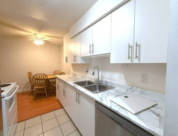 Spacious 1 bedroom 1 bathroom Downtown Maple Ridge - Spacious 1 bedroom 1 bathroom Downtown Maple Ridge - location appartement lokatix