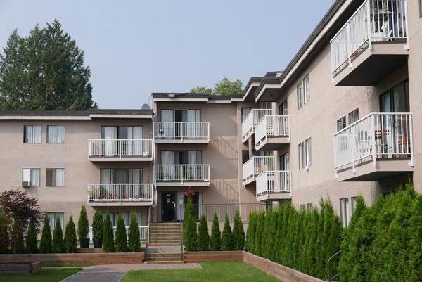 555 Shaw Avenue | 555 Shaw Avenue, Coquitlam - 555 Shaw Avenue | 555 Shaw Avenue, Coquitlam - lokatix rental apartment