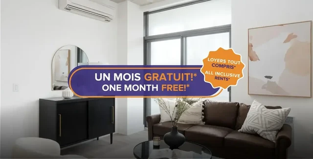 location appartement lokatix nom des données