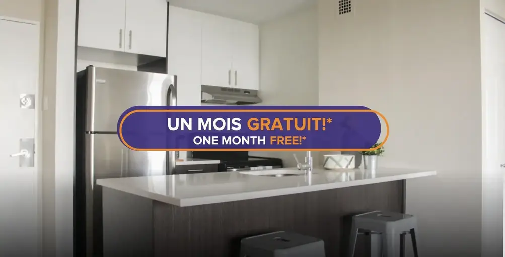 location appartement lokatix nom des données