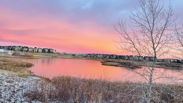 Legal Walkout Basement Suit & Separate Entrance | 129 Marquis View Southeast, Calgary - Legal Walkout Basement Suit & Separate Entrance | 129 Marquis View Southeast, Calgary - location appartement lokatix